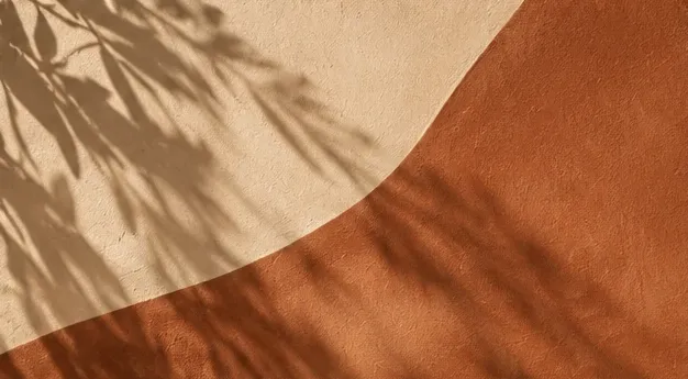 Leaf shadows on a plaster wall